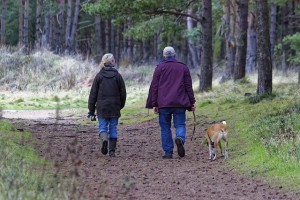 Elderly People Walking With A Dog